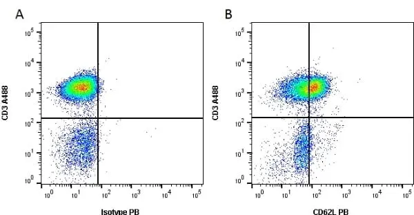 Anti Human CD62L Antibody, clone FMC46 gallery image 2