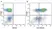 Anti Human CD62L Antibody, clone FMC46 thumbnail image 21