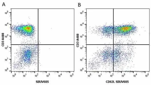 Anti Human CD62L Antibody, clone FMC46 gallery image 21
