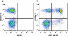 Anti Human CD62L Antibody, clone FMC46 gallery image 22
