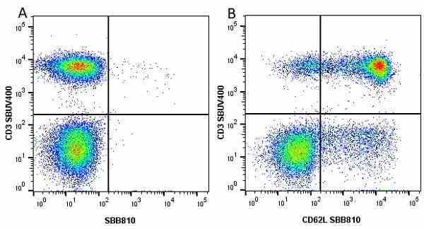 Anti Human CD62L Antibody, clone FMC46 gallery image 25
