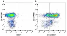Anti Human CD62L Antibody, clone FMC46 gallery image 27