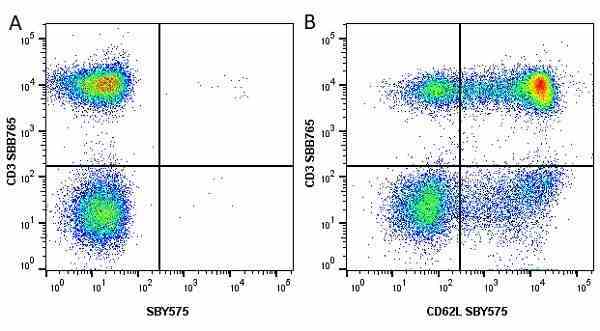 Anti Human CD62L Antibody, clone FMC46 gallery image 28