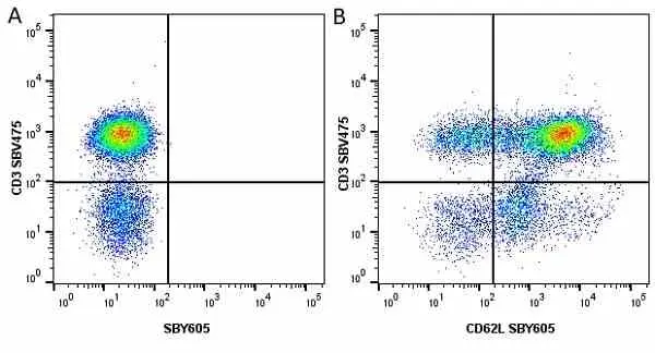 Anti Human CD62L Antibody, clone FMC46 gallery image 30