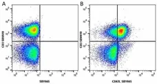 Anti Human CD62L Antibody, clone FMC46 gallery image 31