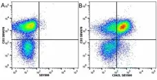 Anti Human CD62L Antibody, clone FMC46 gallery image 32