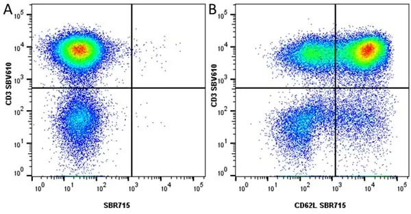 Anti Human CD62L Antibody, clone FMC46 gallery image 36