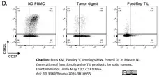 Anti Human CD62L Antibody, clone FMC46 gallery image 39
