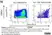 Anti Human CD62L Antibody, clone FMC46 thumbnail image 5