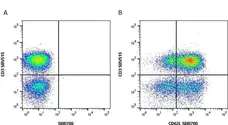 Anti Human CD62L Antibody, clone FMC46 gallery image 6