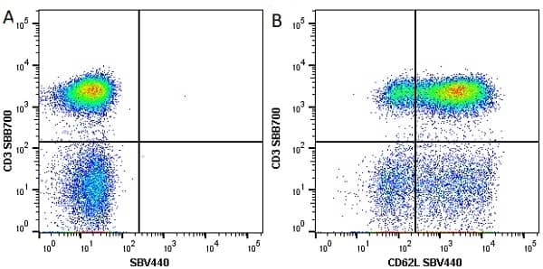 Anti Human CD62L Antibody, clone FMC46 gallery image 7