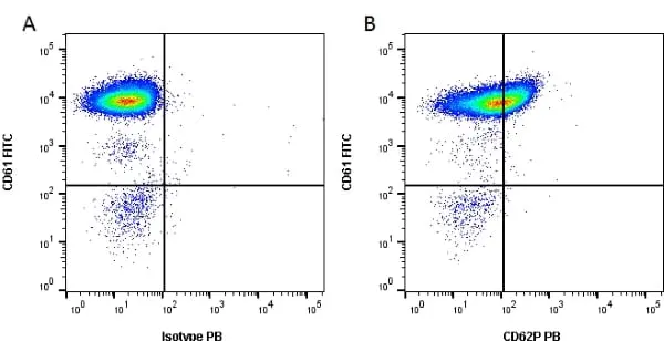 Anti Human CD62P Antibody, clone AK-6 gallery image 2