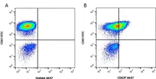 Anti Human CD62P Antibody, clone Psel.KO.2.12 gallery image 1