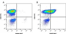 Anti Human CD62P Antibody, clone Psel.KO.2.5 gallery image 3