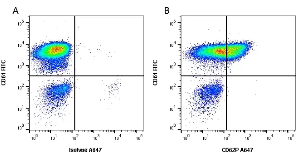 Anti Human CD62P Antibody, clone Psel.KO.2.5 gallery image 3
