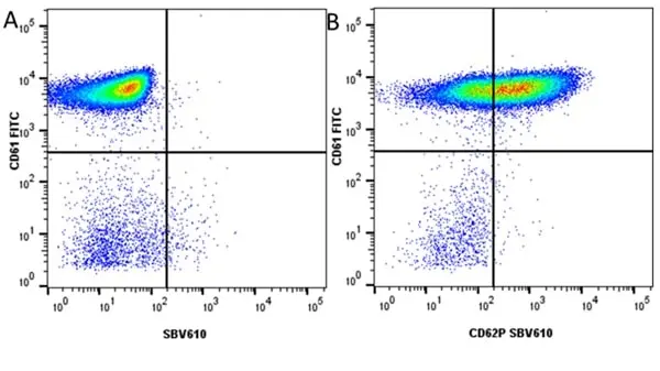 Anti Human CD62P Antibody, clone Psel.KO.2.5 gallery image 5