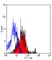 Anti Human CD62P Antibody, clone Psel.KO.2.7 thumbnail image 2
