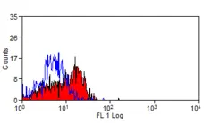 Anti Human CD62P Antibody, clone Psel.KO.2.7 gallery image 4