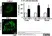 Anti Human CD62P Antibody, clone Psel.KO.2.7 thumbnail image 5