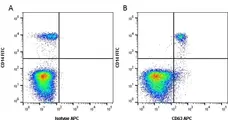 Anti Human CD63 Antibody, clone MEM-259 gallery image 1