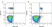 Anti Human CD63 Antibody, clone MEM-259 thumbnail image 1