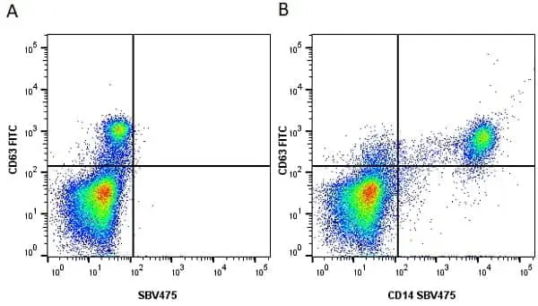 Anti Human CD63 Antibody, clone MEM-259 gallery image 13
