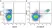 Anti Human CD63 Antibody, clone MEM-259 thumbnail image 14