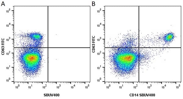 Anti Human CD63 Antibody, clone MEM-259 gallery image 14