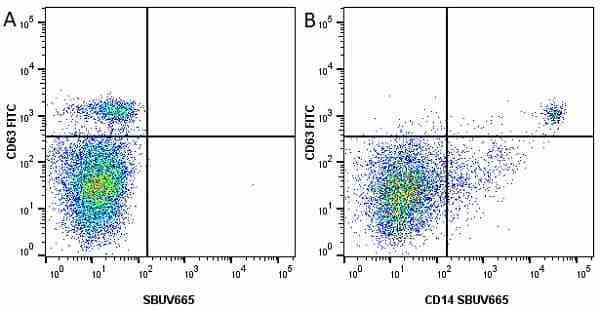 Anti Human CD63 Antibody, clone MEM-259 gallery image 15