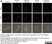 Anti Human CD63 Antibody, clone MEM-259 thumbnail image 7