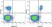 Anti Human CD63 Antibody, clone MEM-259 thumbnail image 8