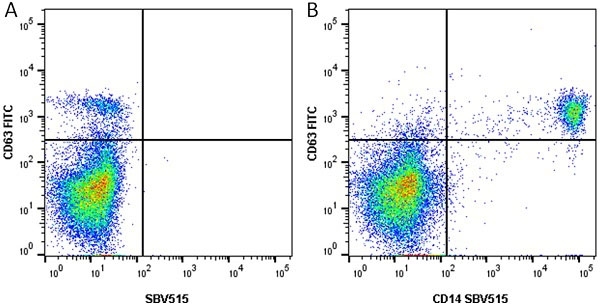 Anti Human CD63 Antibody, clone MEM-259 gallery image 9