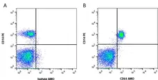 Anti Human CD64 Antibody, clone 10.1 gallery image 1