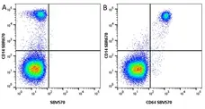 Anti Human CD64 Antibody, clone 10.1 gallery image 10