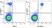 Anti Human CD64 Antibody, clone 10.1 thumbnail image 10