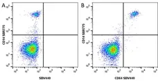 Anti Human CD64 Antibody, clone 10.1 gallery image 11