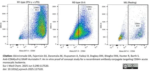 Anti Human CD64 Antibody, clone 10.1 gallery image 13