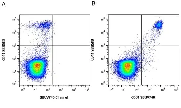 Anti Human CD64 Antibody, clone 10.1 gallery image 15