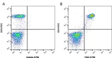 Anti Human CD64 Antibody, clone 10.1 gallery image 2