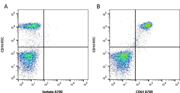 Anti Human CD64 Antibody, clone 10.1 gallery image 2