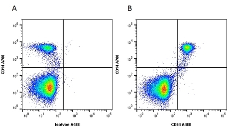 Anti Human CD64 Antibody, clone 10.1 | Bio-Rad