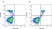 Anti Human CD64 Antibody, clone 10.1 thumbnail image 3