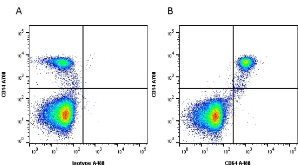 Anti Human CD64 Antibody, clone 10.1 gallery image 3