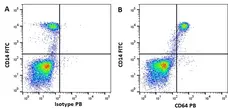 Anti Human CD64 Antibody, clone 10.1 gallery image 5
