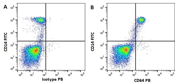 Anti Human CD64 Antibody, clone 10.1 gallery image 5