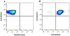 Anti Human CD66 Antibody, clone rB08-7A10 gallery image 1