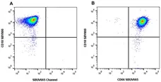 Anti Human CD66 Antibody, clone rB08-7A10 gallery image 2