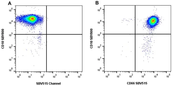 Anti Human CD66 Antibody, clone rB08-7A10 gallery image 4