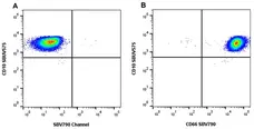 Anti Human CD66 Antibody, clone rB08-7A10 gallery image 6