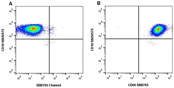 Anti Human CD66 Antibody, clone rB08-7A10 gallery image 9